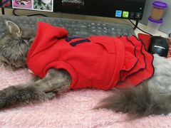 -达爱动物医院·犬猫分区·CT·复杂眼科(远洋山水分院)