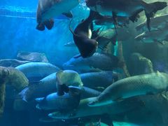 -多彩贵州城极地海洋世界