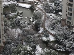 -新湖明珠城