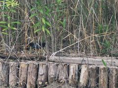 -春花秋色城市公园