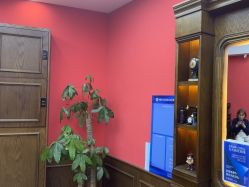 -贝勒爷专业男发