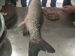 草鱼-杨林闻老三酸菜鱼(总店)