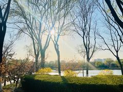 -燕郊植物园