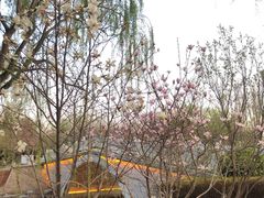 -大兴滨河森林公园
