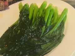 -正兴蜀园(科技园区店)