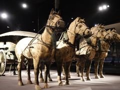 -秦始皇帝陵博物院-丽山园