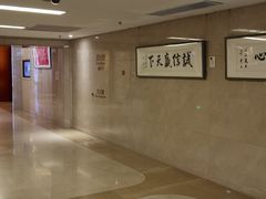-郑州新郑国际机场T2航站楼-贵宾厅B区