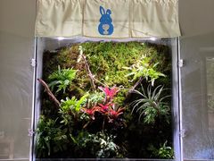 -小意思咖啡店(草桥店)