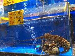 -河马鲜生海鲜超市(风荷园店)