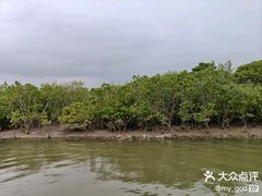 -东寨港红树林旅游区