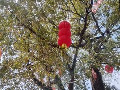 -丝绸小镇荻港古村