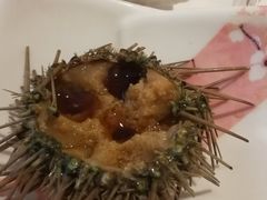北海道海胆-雍和会海鲜姿造自助(湖东路店)
