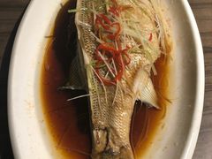 -一记洛阳菜·糖醋小排·水席(十字街店)