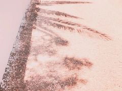-蓝顶教堂