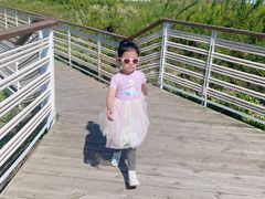 -春花秋色城市公园