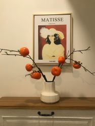 -FUMEIHUI·科技美肤·美体SPA