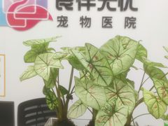 -良伴无忧宠物医院(泰欣嘉园店)
