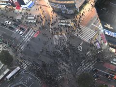 -涩谷区
