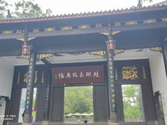 -桂湖森林公园