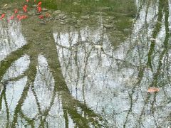 -封龙山风景区