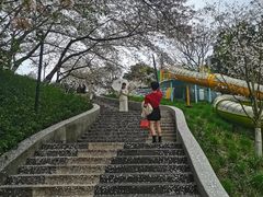 -杭州少年儿童公园
