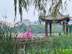 -莲花池公园