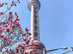 -东方明珠广播电视塔