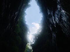 -武陵山森林公园