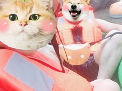 -雅鲁激流探险漂流