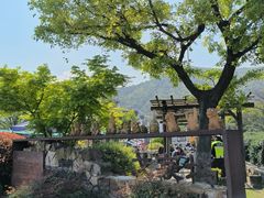 -树山生态村