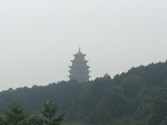 -铁山坪森林公园