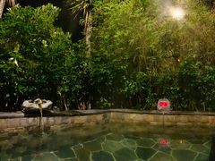 -韶关经律论国际酒店温泉