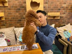 -more than meow吴止猫主题餐厅(承德 中船汇店)