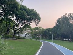 -渤公岛生态公园
