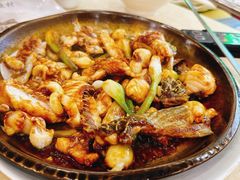 -源港渔村-中山脆肉鲩(博罗店)