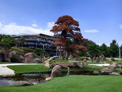 -罗红摄影艺术馆