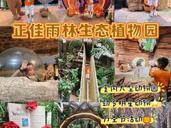 -正佳雨林生态植物园