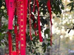 -西湖风景区十里琅珰-五云山