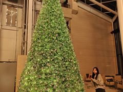 -美盛喜来登大酒店-盛宴标帜餐厅