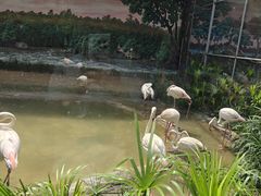 -成都动物园