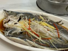 -春和發特色蒸饺(浐河西路店)