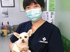 -爱侣宠医·鹦鹉专科·小型哺乳类·异宠专科(灵石路店)