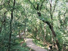 -南山风景名胜区