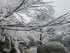-杭州半山国家森林公园