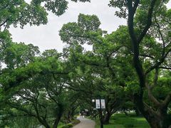 -江心屿景区