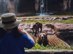 -海南热带野生动植物园
