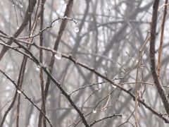 -终南山南五台景区