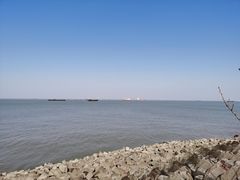 -上海滨江森林公园