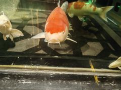 -北京海德酒店温泉