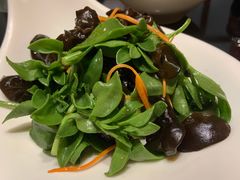 木耳拌田七-宴小馆·小海鲜青岛菜(五四广场店)
